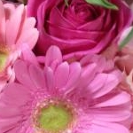 オレンジジャムさんのプロフィール画像