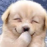 あーちさんのプロフィール画像