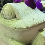 あみんごさんのプロフィール画像