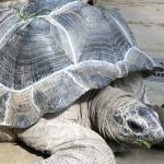 ここだけのエリさんのプロフィール画像