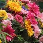 もんぺさんのプロフィール画像