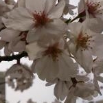 ゆーちゃんさんのプロフィール画像