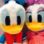 どなっこさんのプロフィール画像