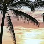 まあこさんのプロフィール画像