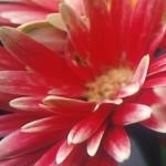 yuunanaさんのプロフィール画像