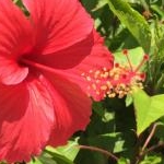 ♛yumam♛さんのプロフィール画像