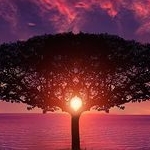 さつさんのプロフィール画像