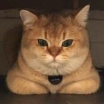 みまさんのプロフィール画像