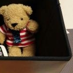 虎の母さんのプロフィール画像