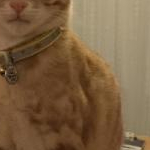 sqHvANAdFY705iDさんのプロフィール画像