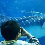 Akari Miyazakiさんのプロフィール画像