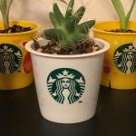 izunyseaさんのプロフィール画像