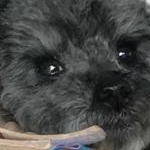 Kucharowさんのプロフィール画像