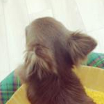 mizuki26さんのプロフィール画像