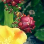 あづみさんのプロフィール画像