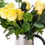 瀬戸内レモンさんのプロフィール画像