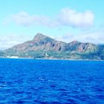 sunnydayさんのプロフィール画像