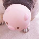 loveさんのプロフィール画像