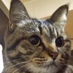 NaoHiroさんのプロフィール画像