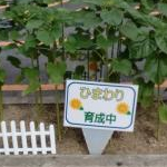 みっちゃんさんのプロフィール画像