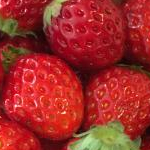 わわやんさんのプロフィール画像