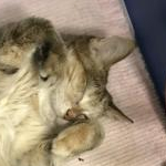 浜のトミーさんのプロフィール画像