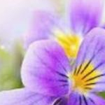 bonbonさんのプロフィール画像