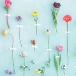 ゆゆさんのプロフィール画像