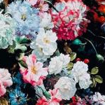 aoaoaoaoさんのプロフィール画像