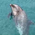 yuki49812408さんのプロフィール画像