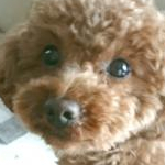 かおるんさんのプロフィール画像