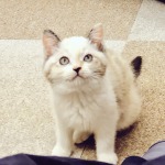 くろさわさんのプロフィール画像