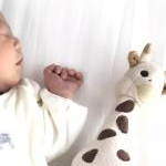 しづにゃさんのプロフィール画像