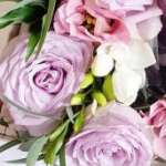 reiさんのプロフィール画像