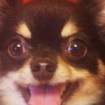 kumi.t.0812さんのプロフィール画像