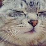 うるさんのプロフィール画像