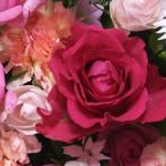 PBさんのプロフィール画像