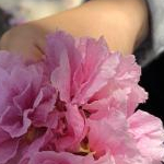 みどりさんのプロフィール画像