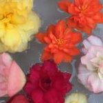 やむやむさんのプロフィール画像