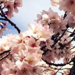 くまさんさんのプロフィール画像