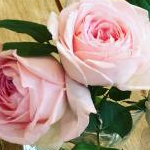 りきたんさんのプロフィール画像