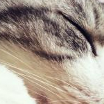 むうさんのプロフィール画像