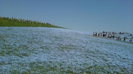 flatさんのプロフィール画像