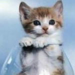 健康美活♪さんのプロフィール画像