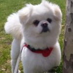 きよりん@コスメマニア