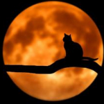 まるさんのプロフィール画像