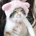 あきこさんのプロフィール画像