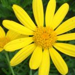 yukariさんのプロフィール画像