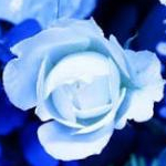 milkさんのプロフィール画像