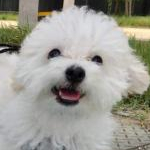 ゆーぽすさんのプロフィール画像